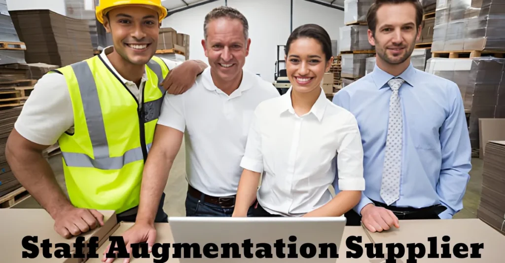 Staff Augmentation Supplier